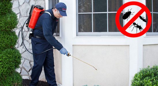 Gökdere Karınca İlaçlama böcek ilaçlama ve haşere kontrolü — ilaclama-tr.com